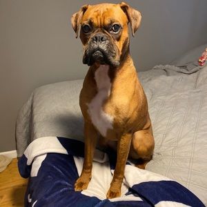 Meet your Posher, Michael